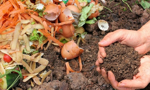 Emballage compostable : la solution écologique pour vos emballages